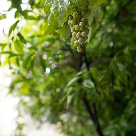 Ferienhaus Athena Luxury *